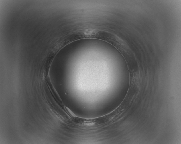 X0000073520651200608071123