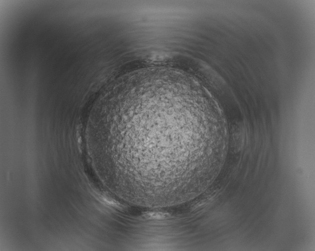 X0000073520654200608071123