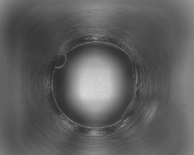 X0000073520657200608071123
