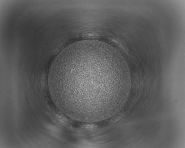 X0000073520659200608071123