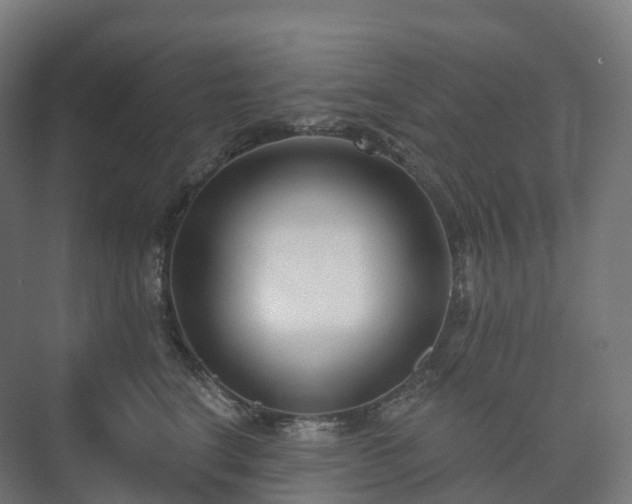 X0000073520664200608071123
