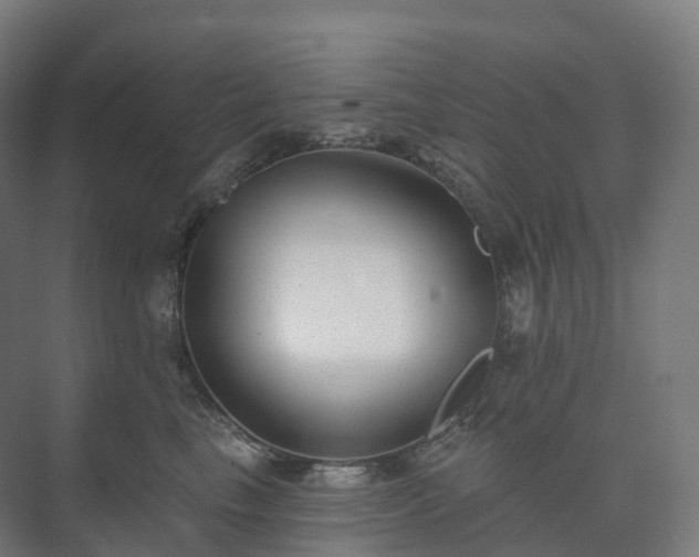 X0000073520665200608071123