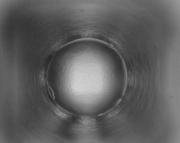 X0000073520670200608071123