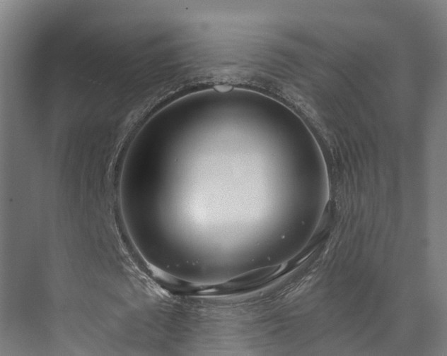 X0000073520673200608071122