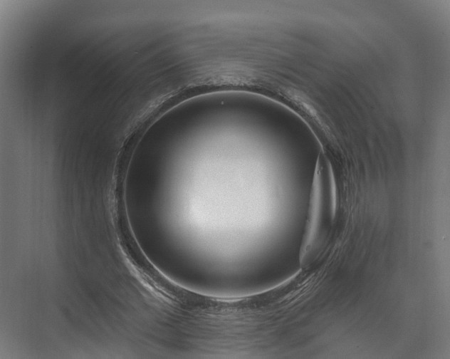 X0000073520677200608071122