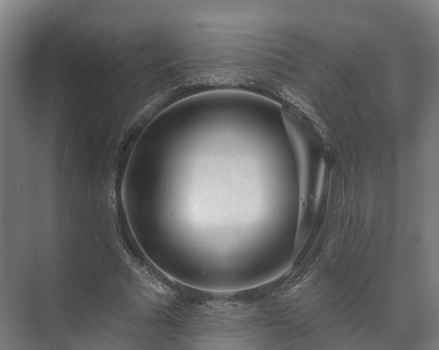 X0000073520681200608071122