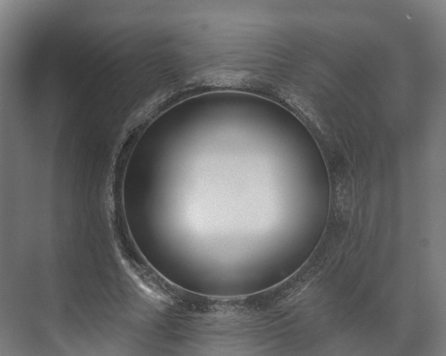 X0000073520682200608071122