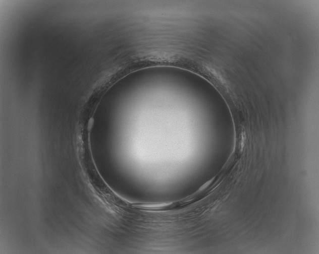 X0000073520688200608071122