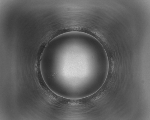 X0000073520693200608071122