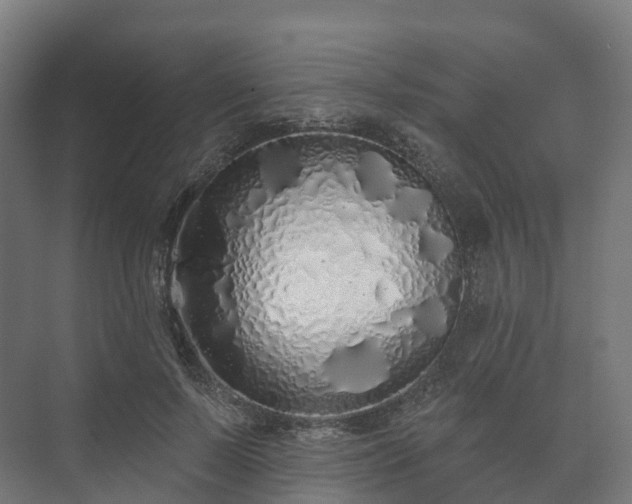 X0000073520695200608071122