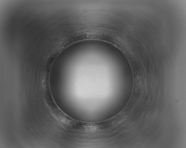 X0000073520698200608071122