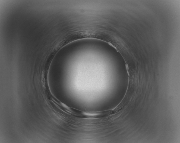 X0000073520700200608071122