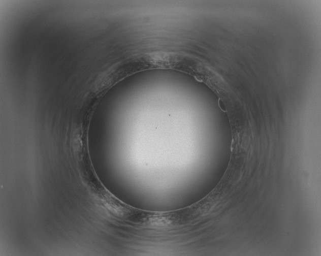 X0000073520702200608071122