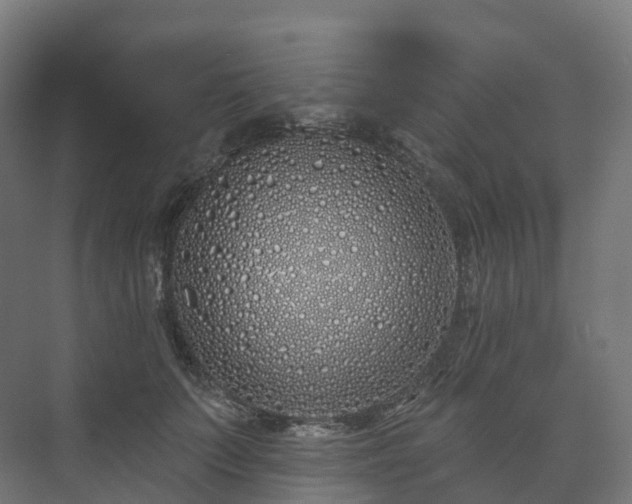 X0000073520703200608071122