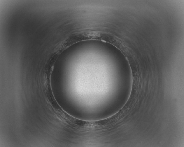 X0000073520704200608071122
