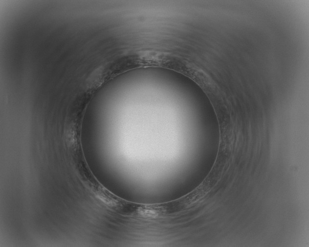 X0000073520706200608071122
