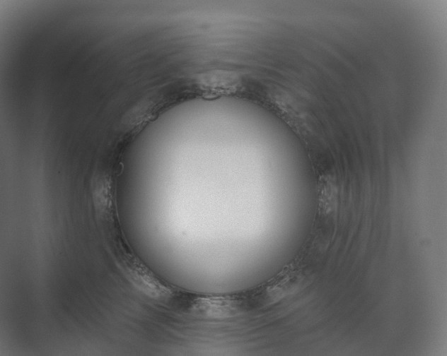 X0000073520713200608071122
