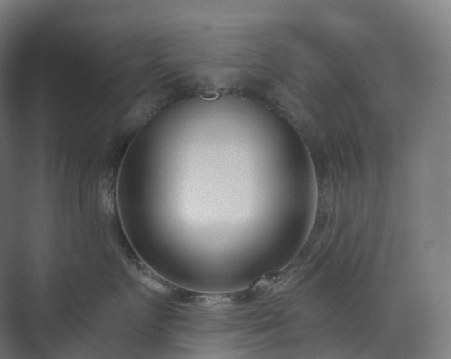 X0000073520719200608071121