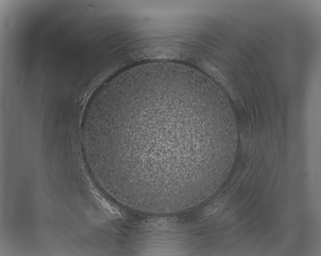 X0000073520721200608071121