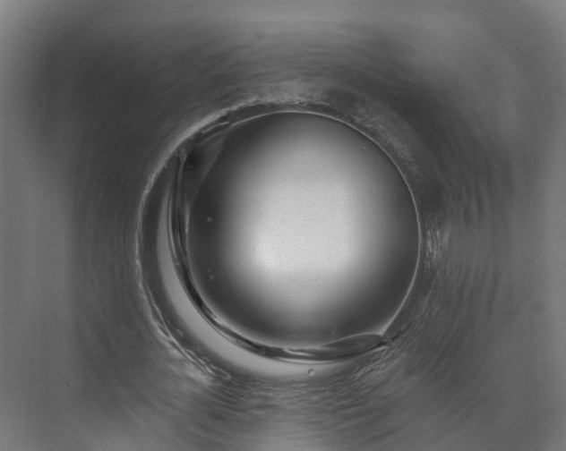 X0000073520724200608071121