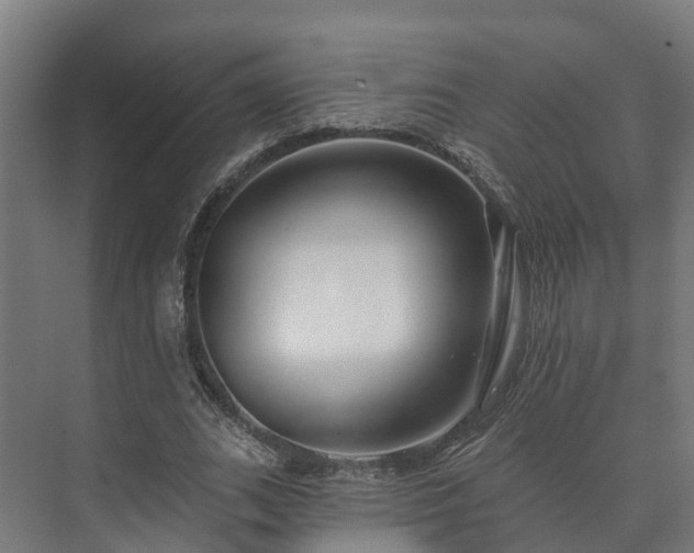 X0000073520727200608071121