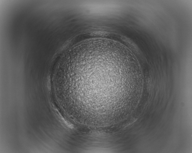 X0000073520729200608071121