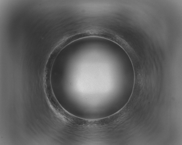 X0000073520730200608071121