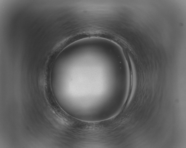 X0000073520732200608071121