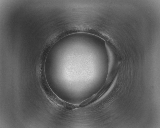 X0000073520736200608071121