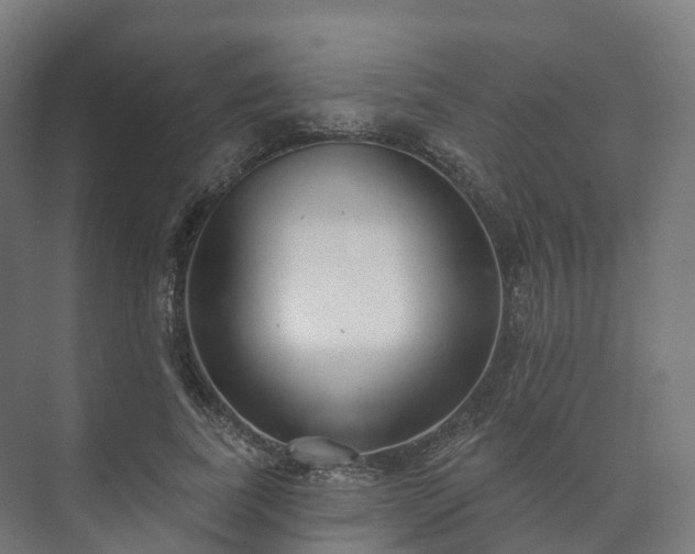 X0000073520739200608071121