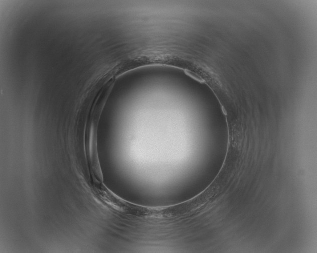 X0000073520740200608071121