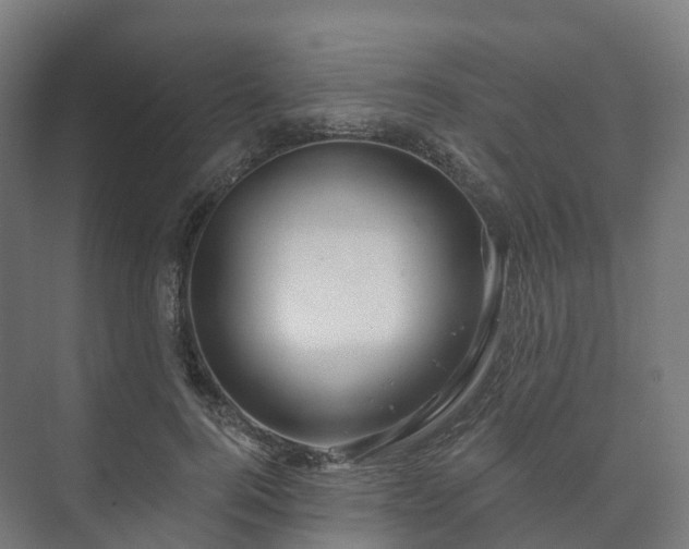 X0000073520744200608071121