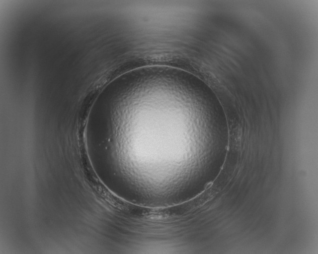 X0000073520746200608071121