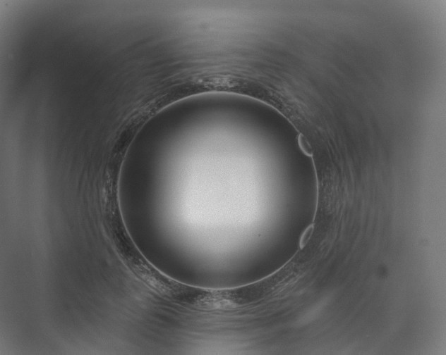 X0000073520747200608071121