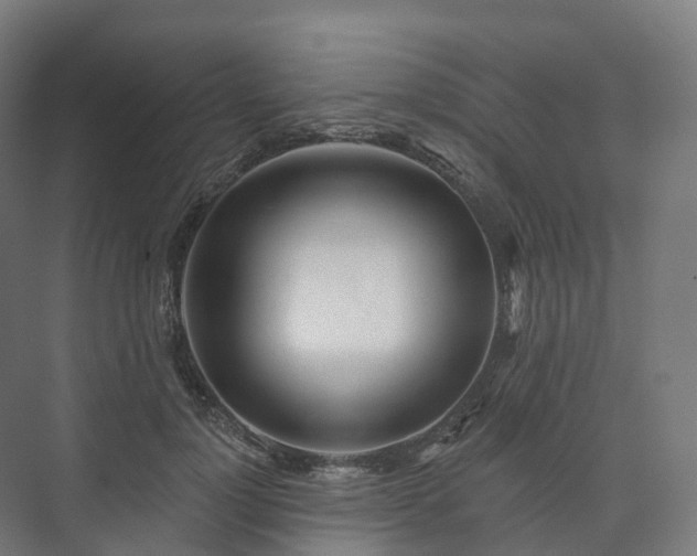 X0000073520748200608071121