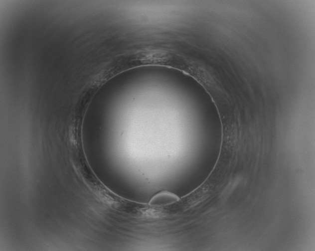 X0000073520755200608071121
