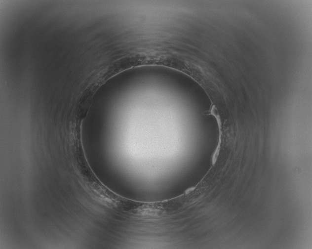 X0000073520756200608071121