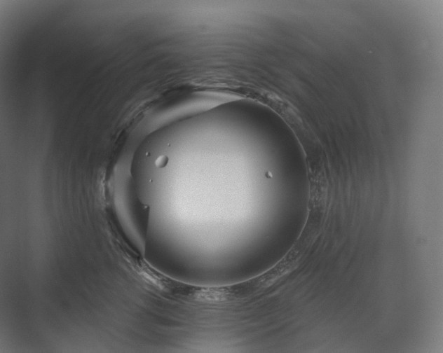 X0000073520762200608071121