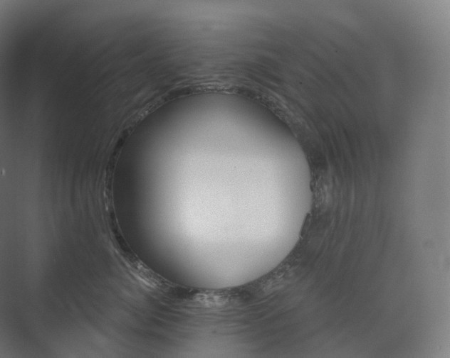 X0000073520764200608071121