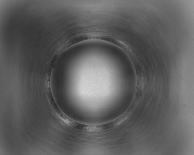 X0000073520766200608071121