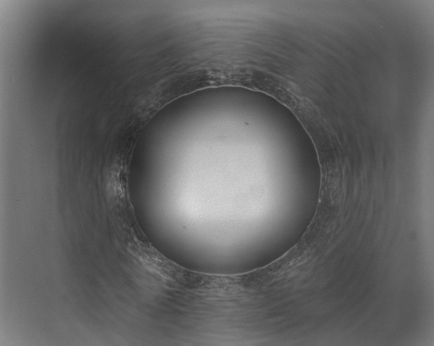 X0000073520770200608071121
