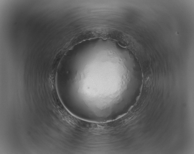 X0000073520772200608071121