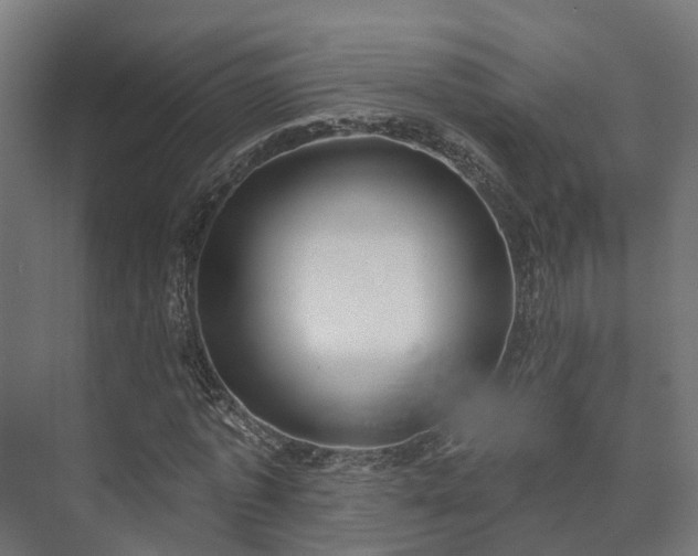 X0000073520773200608071120