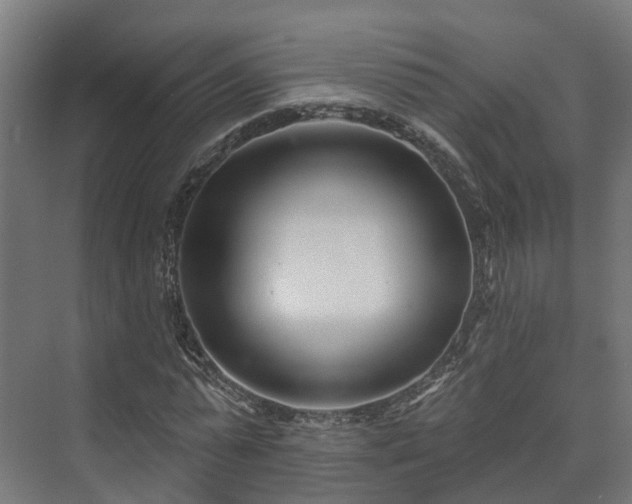X0000073520775200608071120