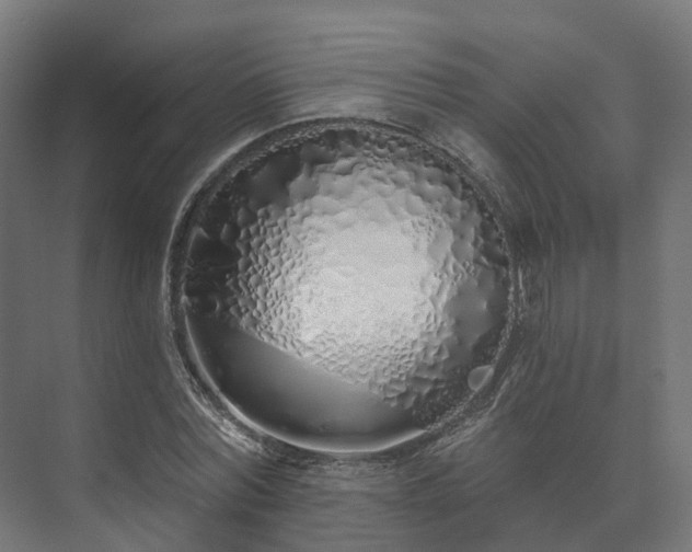 X0000073520780200608071120