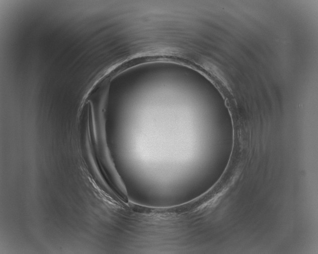 X0000073520781200608071120