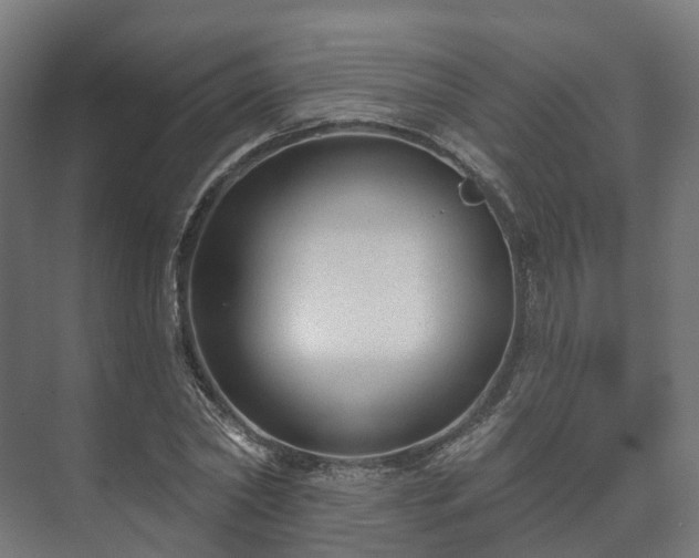 X0000073520782200608071120
