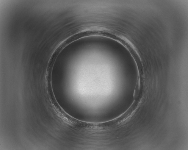 X0000073520783200608071120