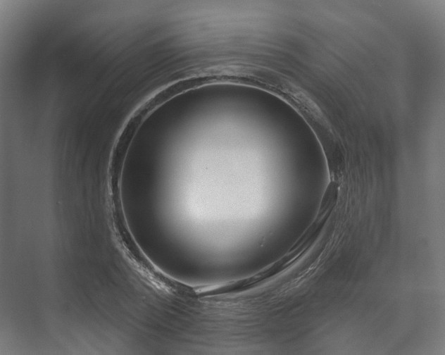 X0000073520784200608071120