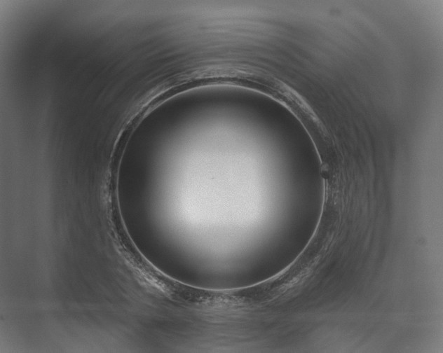 X0000073520786200608071120